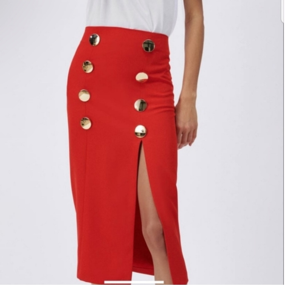 Stunning Zara Skirt